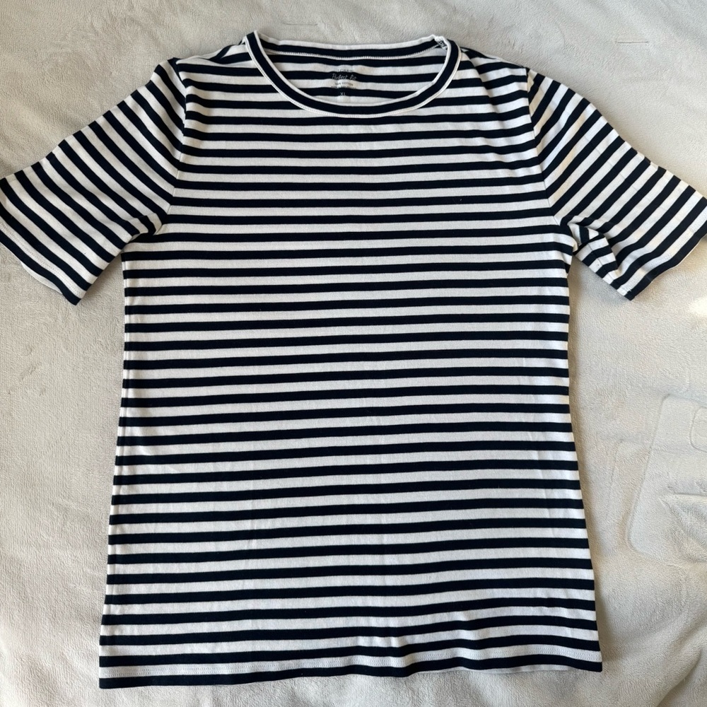 J. Crew White and Blue Fitted T-Shirt